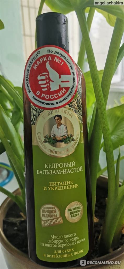 Бальзам для волос Рецепты бабушки Агафьи Кедровый настой Питание и ...