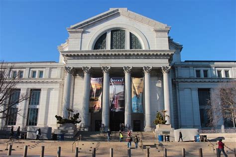 Smithsonian Natural History & National Gallery Of Art - Exclusive ...