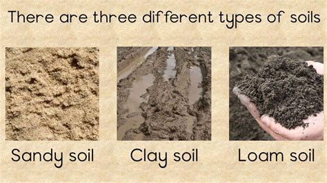 SOIL - Different types and the importance of Soil in 2024 | Types of ...