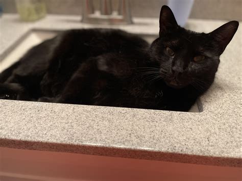 My Pussy Likes To Get Wet R Blackpussy