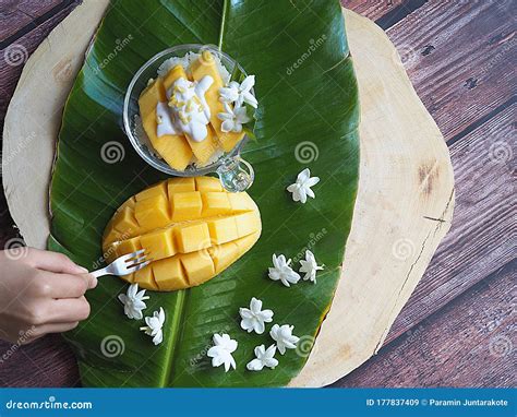 Hand Holding Ripe Mango By A Fork Isolated And Sticky Rice Stock Image