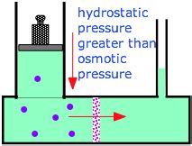 osmosis  osmotic pressure