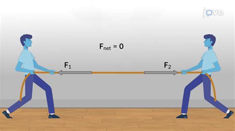 Categories Of Equilibrium Concept Mechanical Engineering Jove