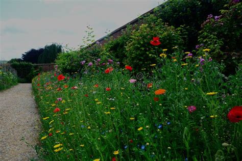 Walled Garden & Grass Verge Full of Rich, Vibrant Color of Spring ...