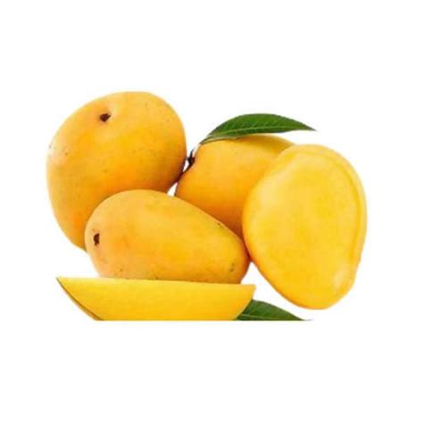 Mango Tom Jc G Quickee