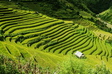 gambar pemandangan alam outdoor gurun bidang tanah pertanian