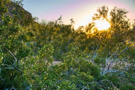 Papago Park Sunset Photograph by Anthony Giammarino - Pixels