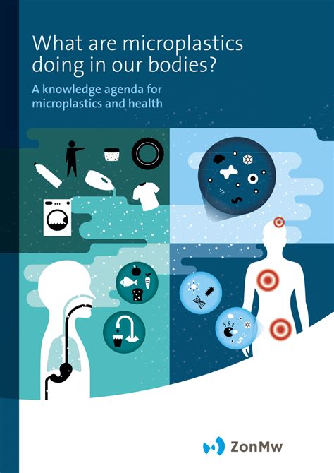 Pdf What Are Microplastics Doing In Our Bodies A Knowledge Agenda For Microplastics And Health