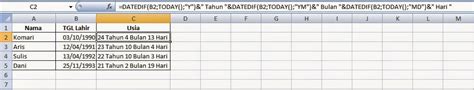 Cara Menghitung Umur Dengan Excel Belajar Word N Excel Hot Sex Picture