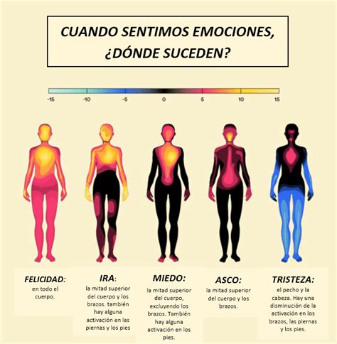 Partes Del Cuerpo Y Emociones AVEEC