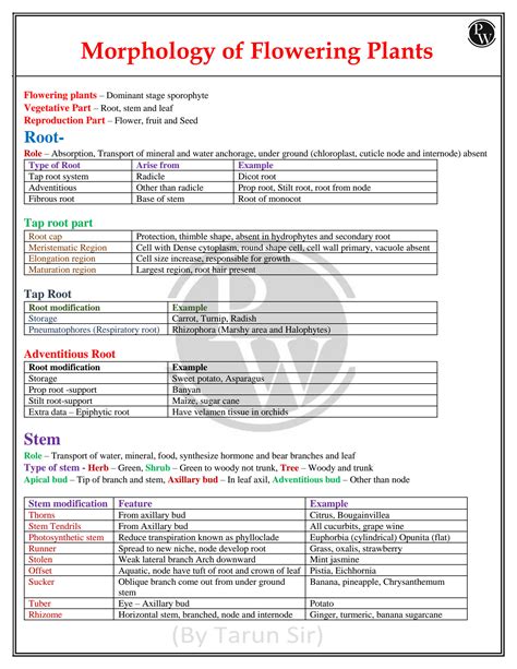 Solution Copy Of Morphology Of Flowering Plants Handwritten Notes