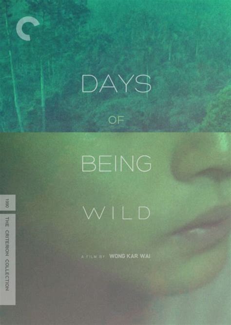 Days Of Being Wild Wong Kar Wai Movie Poster Art Cinema Posters