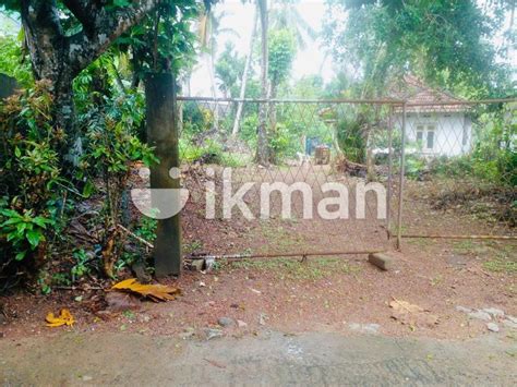 AFA185 35 P Land Sale At Suhada Mawatha Wanaguru Road Hokandara Ikman