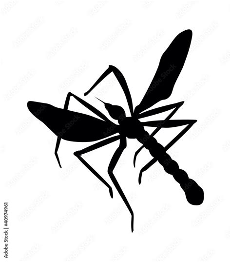 Mosquito Stock Vector Adobe Stock