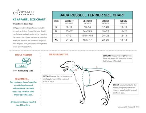 What Is A Good Weight For A Jack Russell Terrier