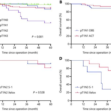 The 5 Year Overall Survival Os For Pt1 Gastric Cancer Gc Patients