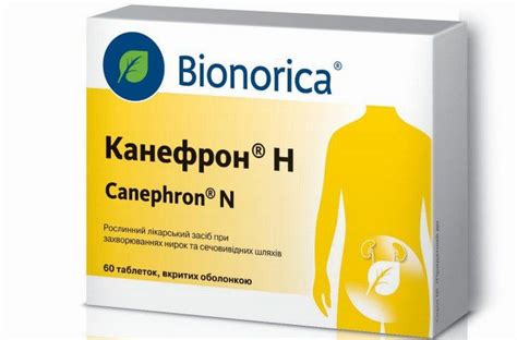 Канефрон при камнях в почках или Цистрон: что лучше выводит