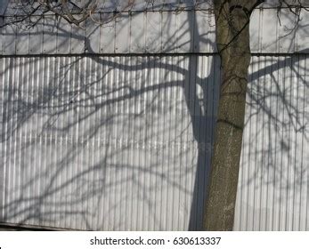 Dark Tree Silhouette Blue Sky Background Stock Photo 630613337 ...