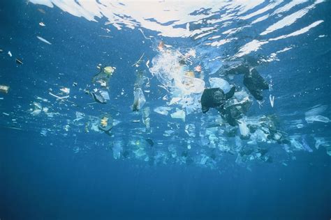 Inquinamento Del Mare Riassunto Cause E Conseguenze Studenti It