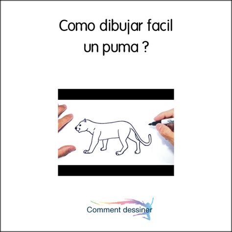 Como Dibujar Facil Un Puma Como Dibujar