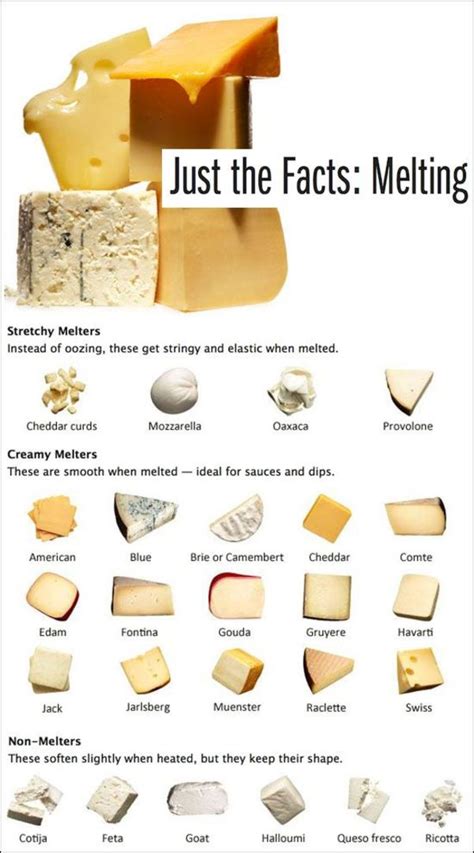 This Cheese Guide Is All You Want In Your Life