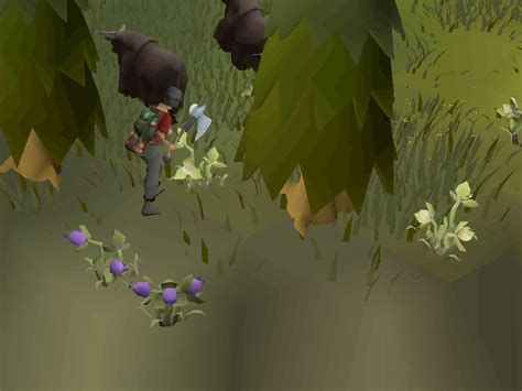 Osrs Forestry Explained Latest Woodcutting Rework Ezrsgold