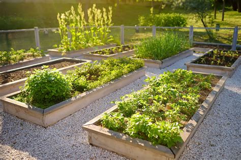 Raised Garden Beds - Easy Guide - Living Earth