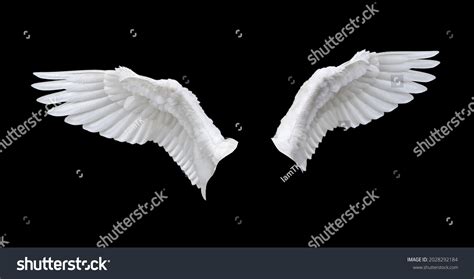 Angels Flying White Background Images Stock Photos Vectors