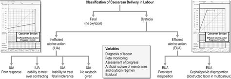 Caesarean Section Controversies Audit Classification And Indications