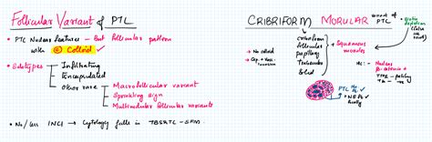 Follicular variant and Cribriform morular variant of PTC – Pathonotes