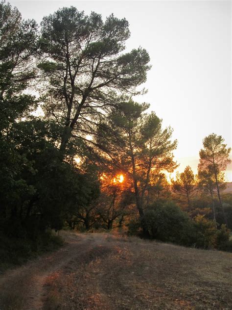 Pins De Provence Enciclopedia Bon S Flickr