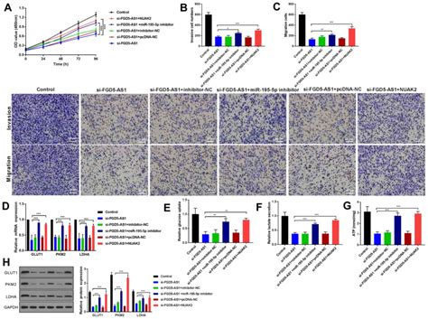 Lncrna Fgd5‑as1 Promotes Breast Cancer Progression By Regulating The