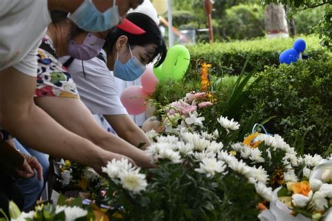 郑州8岁女孩时心蕊捐献器官救5人，全家都做了器官捐献志愿者