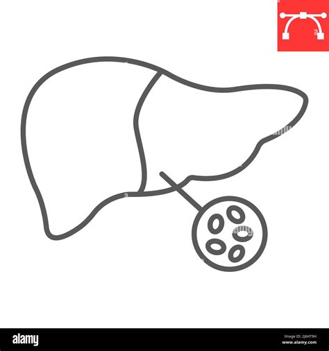 Fatty Liver Line Icon Unhealthy And Disease Liver Vector Icon Vector Graphics Editable