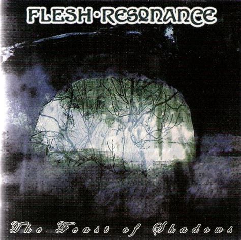 The Feast Of Shadows Flesh Resonance Amazonde Musik Cds And Vinyl