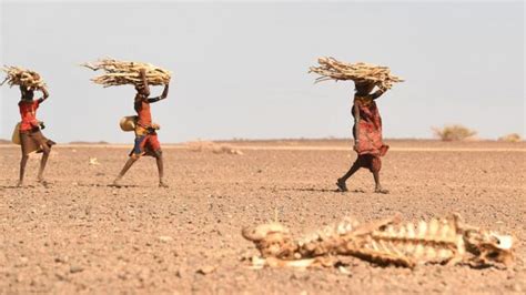 Changement climatique 2002 une année de sécheresse et de chaleur