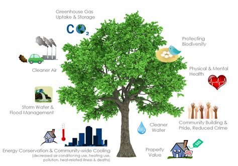 Community Tree Adoptions