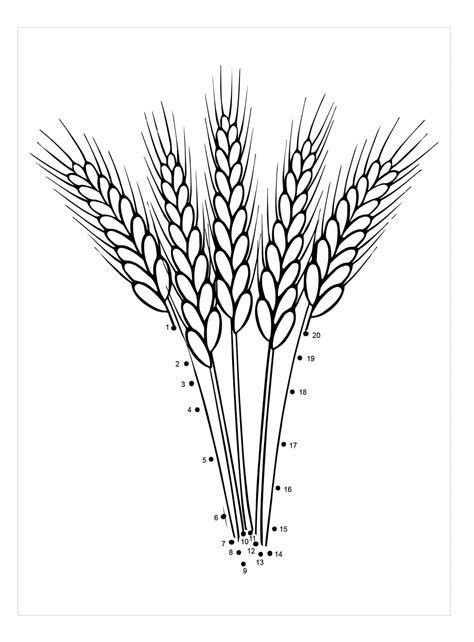 Dibujos De Trigo Para Colorear E Imprimir Coloringonly