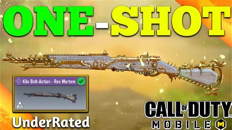 Why So UNDER RATED Best Kilo Bolt Action Gunsmith ONE Shot Build