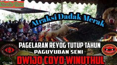 FULL ATRAKSI DADAK MERAK REOG PONOROGO DWIJO COYO WINUTHUL DI DESA