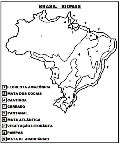 Imagem Do Mapa Do Brasil Colorir Image To U