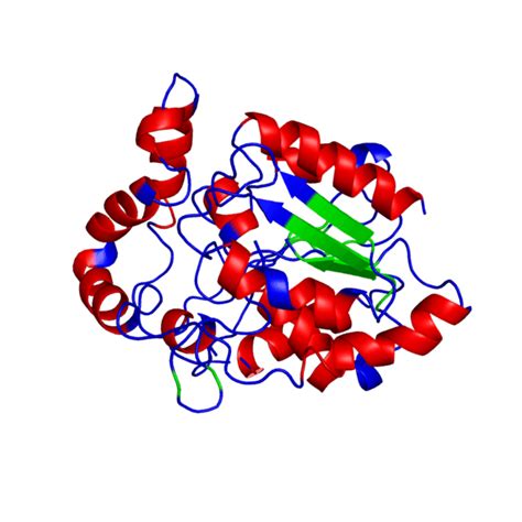 Usermaitreyee Mukherjeesandbox 1 Proteopedia Life In 3d