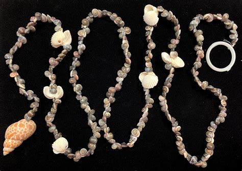 UMBONIUM SHELL GARLAND Darlene S Shells