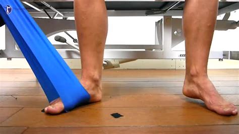 Posterior Tibialis Stretch | myworkouts.io