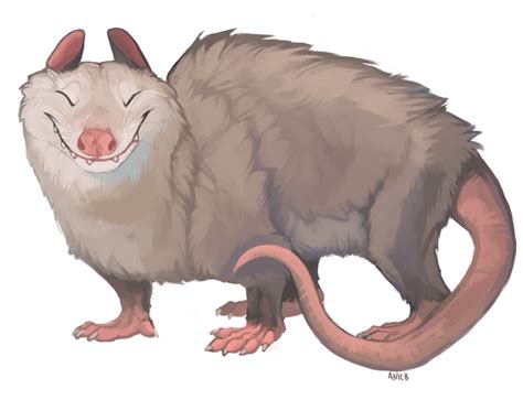 Opossum by ANicB on DeviantArt