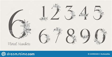 Flower Ornate Numbers Elegant Floral Blossom Number Floral Sprigs