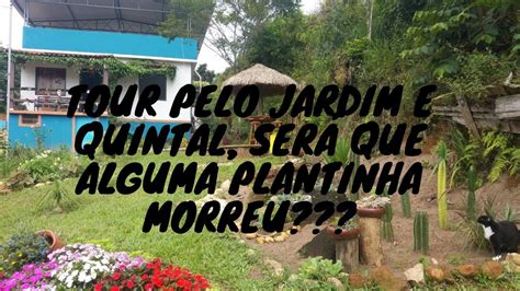 Tour pelo jardim e quintal da nossa Casita como nós a encontramos