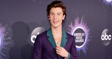 Shawn Mendes Hits The Red Carpet Solo At AMAs 2019 2019 American