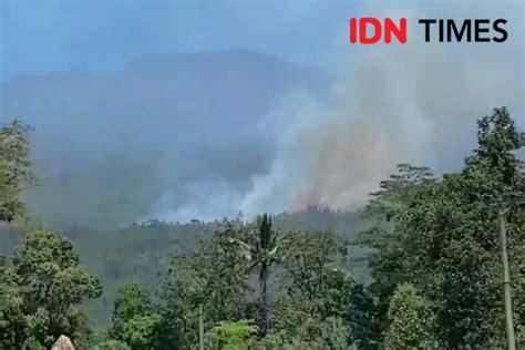 Hutan Di Lereng Gunung Lawu Ngawi Kembali Terbakar