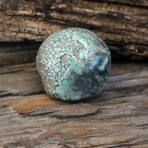 Turquoise Pseudomorph Specimen Fossil Sp 3 Ebay